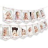 Fangleland Wildflower Theme 1st Birthday Photo Banner from Newborn to 12 Months for Girls, Growth Record Monthly Milestone Picture Banner First Birthday Party Decorations for 1 Year Old Girl