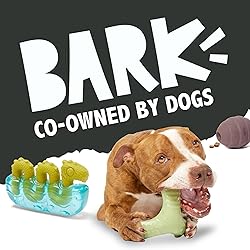 Barkbox Super Chewer Tough Dog Chew Toys for