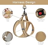 BELLA & PAL Dog Harness and Leash Set XXS Khaki Breathable Reflective view 3