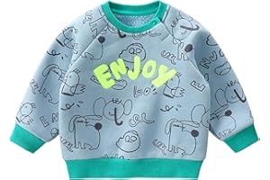 LABISHU Little Kids Long Sleeve Fleece Sweatshirt Toddler Boys Crewneck Cartoon Printed Sherpa Lining Tops
