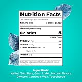 PUR Gum Sugar Free Wintergreen Xylitol Vegan 55 Pieces Pack of 6 view 6