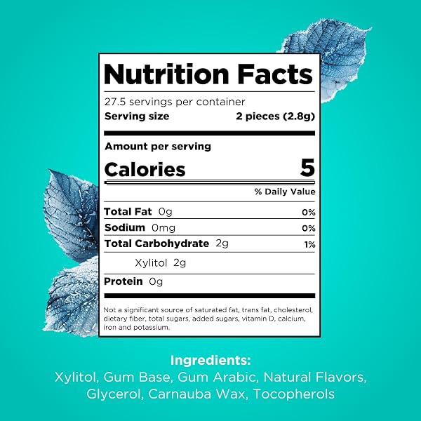 PUR GUM | ASPARTAME FREE CHEWING GUM | 100% XYLITOL | NATURAL WINTERGREEN FLAVORED GUM, 55 PIECES (PACK OF 3)
