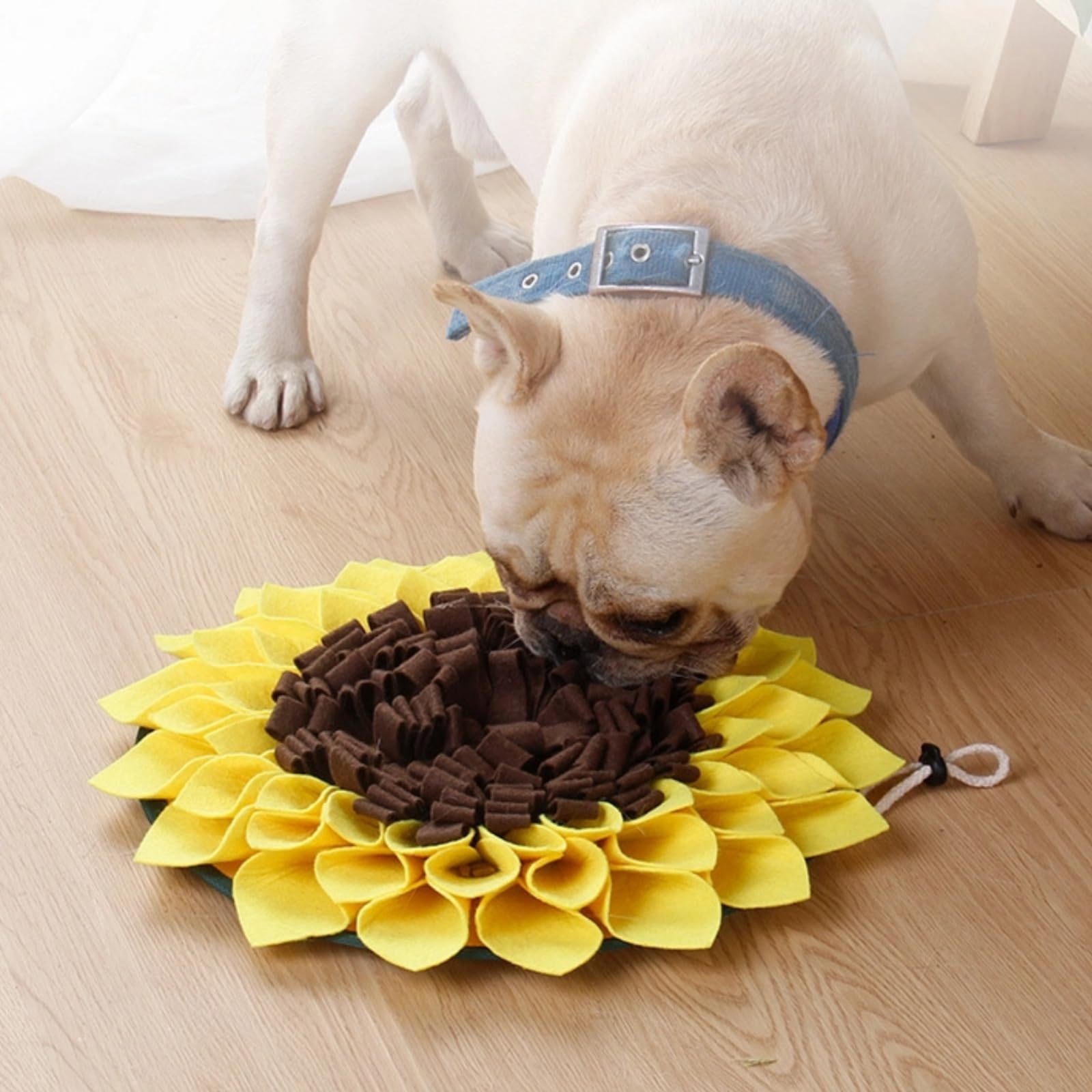 Ruiqas Dog Snuffle Mat, Washable Interactive Pet Foraging Skills Toys Sunflower Slow Feeding Dog Cat Nosework Training Food Mat