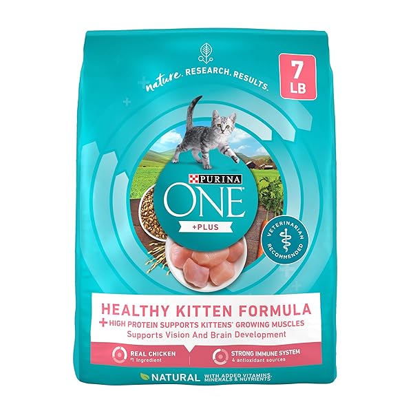 PURINA ONE HIGH PROTEIN, NATURAL DRY KITTEN FOOD, +PLUS HEALTHY KITTEN FORMULA – 7 LB. BAG