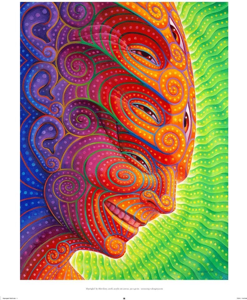 Alex GreyShpongled - Mini Poster