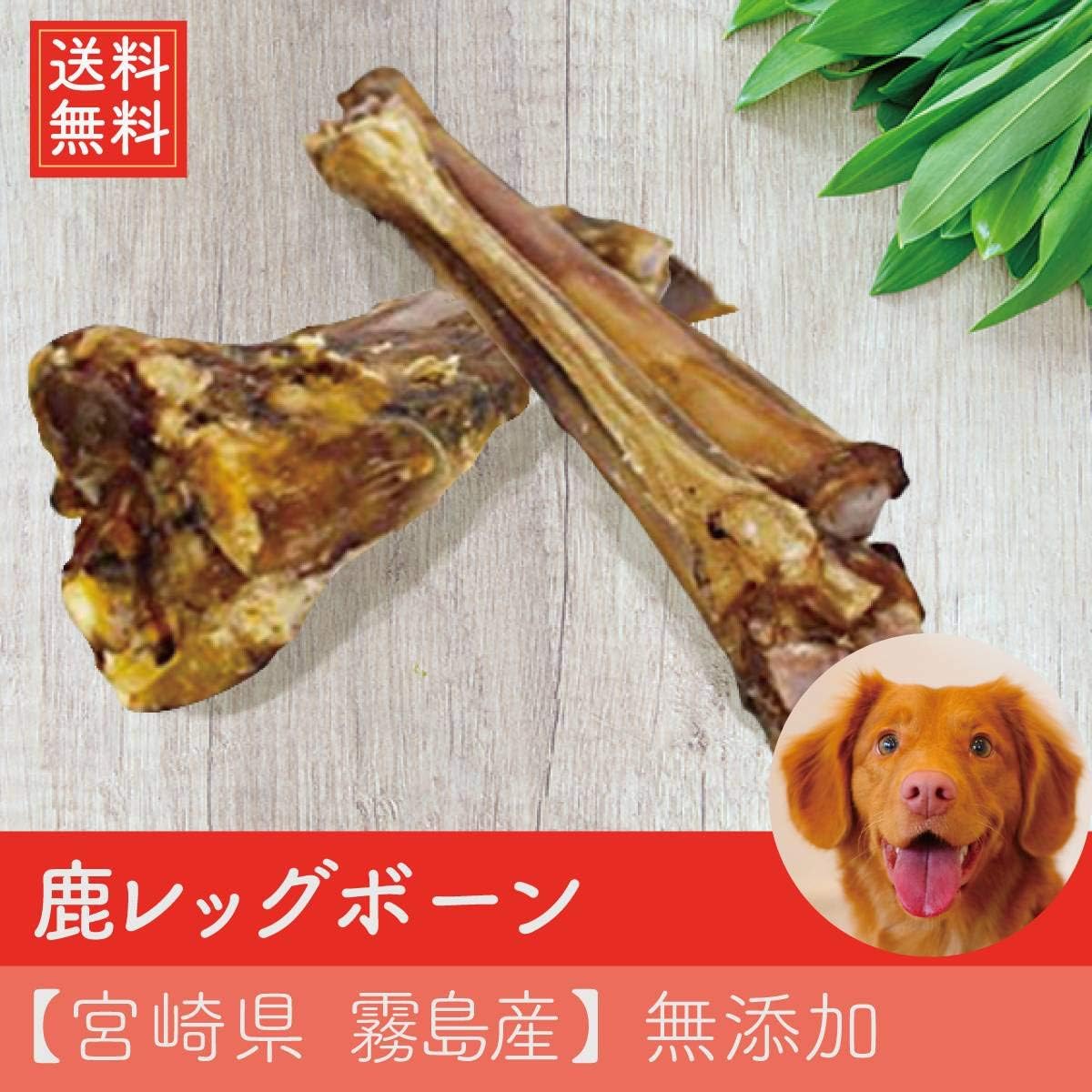 Amazon 鹿レッグボーン 宮崎県 霧島産 無添加 あし骨アソート 大容量350ｇ 鹿骨 ジビエ 保存料 添加物不使用 大型犬 中型犬 小型犬のおやつ 犬用 歯磨きガム の代用品としても 馬油store 骨 ボーン 通販