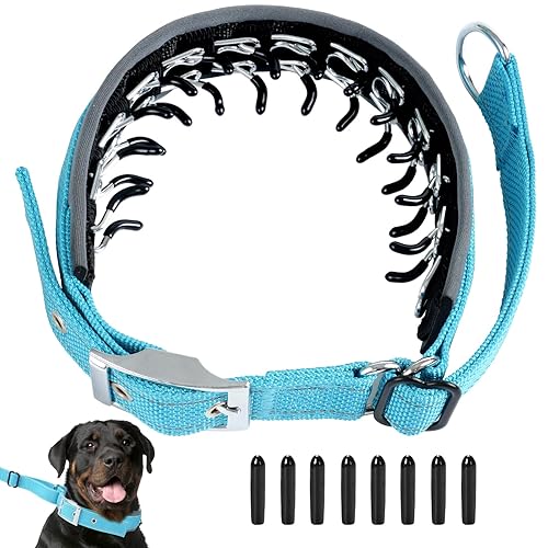 Duckygoo Adjustable No Pull Dog Collar - Heavy Duty Martingale Slip Collar with Reflective Widened Nylon & Metal Buckle for Training Walking Hunting (Small/Medium/Large Dogs),Blue,L
