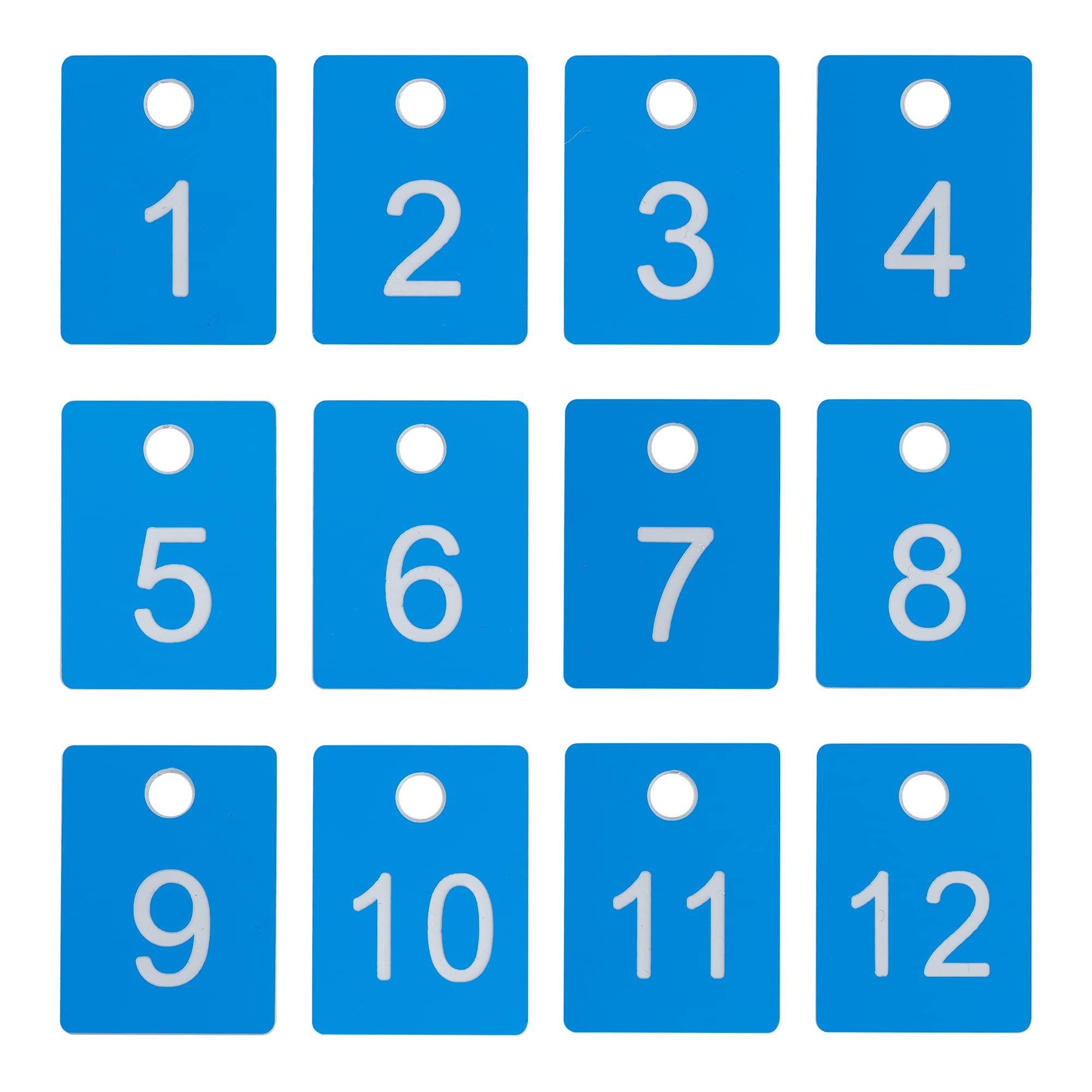 ABS Plastic Numbered Tags Rectangle Key Tags ID Tags Number Disc with Hole (1-100, Blue)
