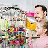 MQUPIN Large Parrot Toy with Coconut Shell, Natural Wood Beak Gym for African view 6