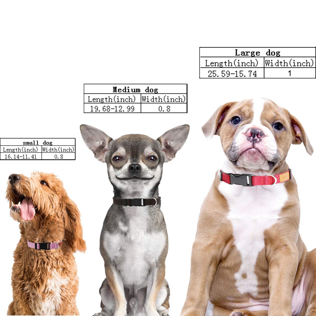 Egoola Personalized Dog Collar Custom Embroidered Pet Name and Phone Number for Small Medium Large Adjustable Dog Collars