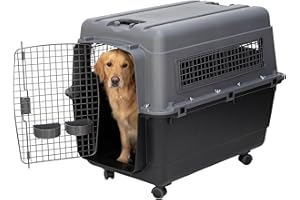 Sport Pet X-Large Airline Plastic Dog Kennel