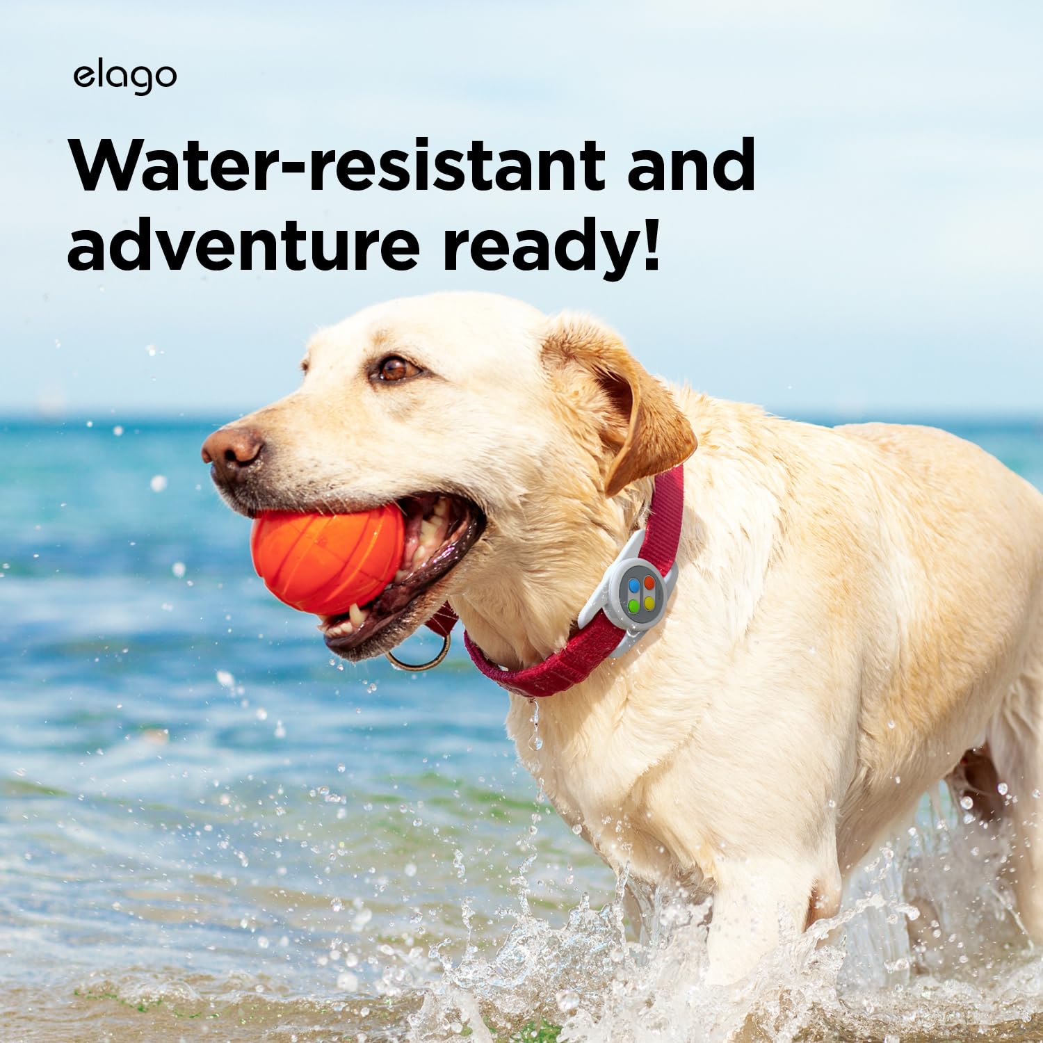 View 4
