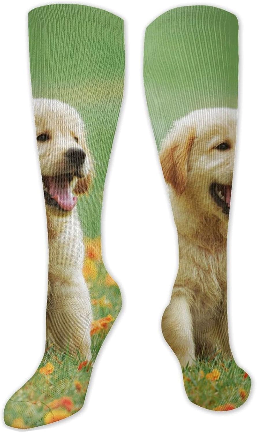Golden Retriever Puppy Dog Compression Socks for Women Men