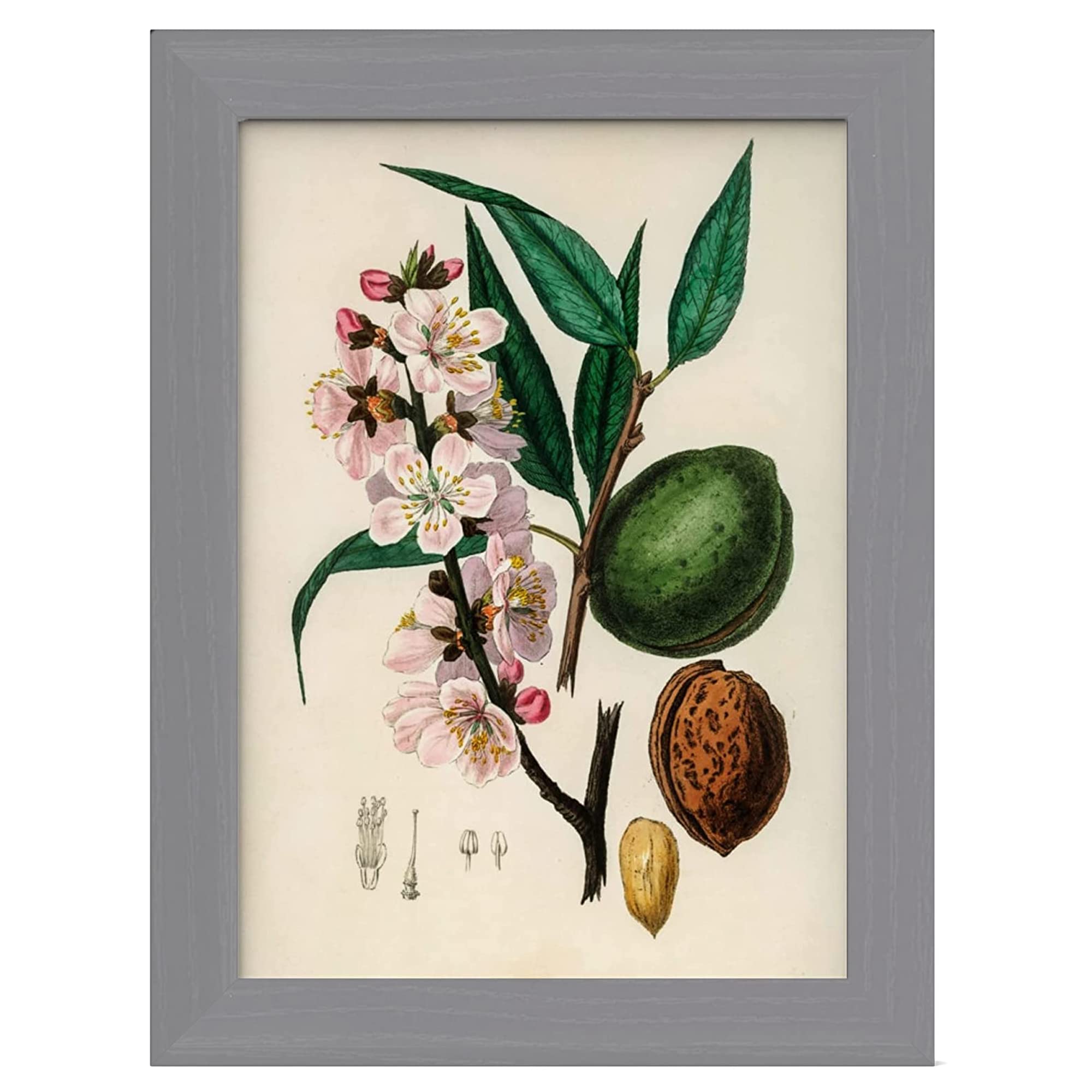 MH Traders Silver A5 Picture Frame - Freestanding and Wall Mounted Photo Frame for Pictures Posters & Certificates - 15 x 21 CM A5 Size Compact Picture Frames