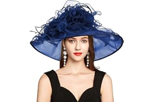 YIDINGCO 2025 Kentucky Derby Hat for Women Ladies, Organza Veil Feather Fascinator for Tea Party Church UV Protection Sun Hat