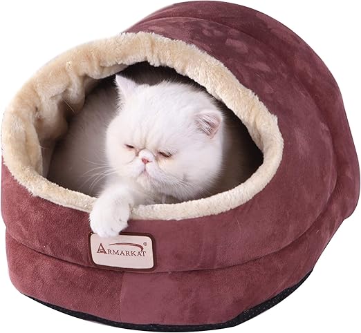 cat bed size