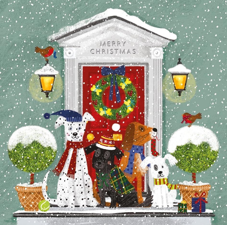 Noel Tatt Christmas Cards Box of 12 - Festive Dogs on Snowy Doorstep - Eco-Friendly & Recyclable