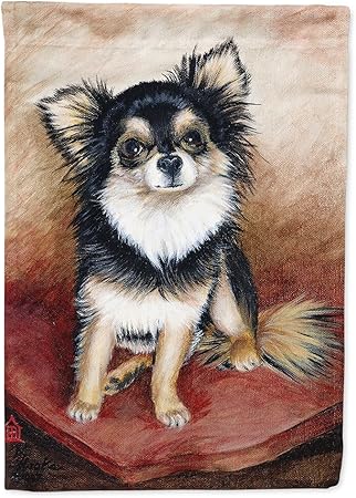 Amazon Com Caroline S Treasures Mh1035gf Chihuahua Long Hair