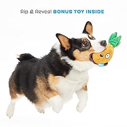 Barkbox 2 in 1 Interactive Plush Dog Toy - Rip and