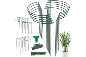 LINYONA 24 Pack Plant Support Stake, Half Round Metal Garden Plant Stake, Green Plant Support Ring, Border Support with Plant Lables & Plant Clips for Outdoor Indoor Plants, Vegetable, Flowers