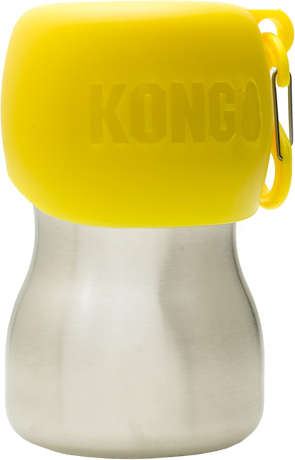 kong h2o stainless steel dog water bottle
