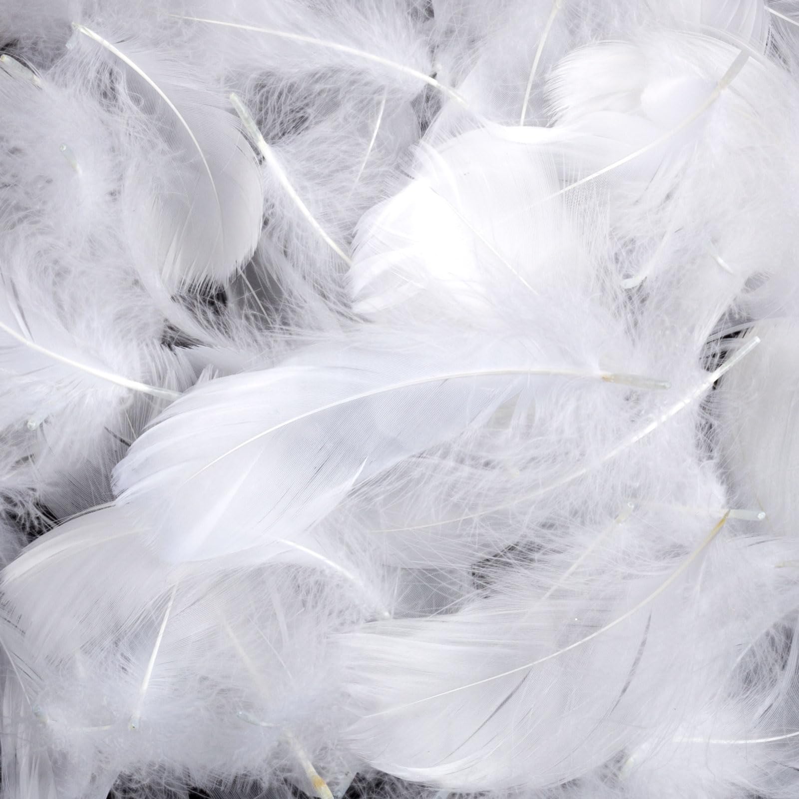 600 Pieces White Feathers for Crafts,Feather Decorations Dreamcatcher Earrings Craft Festival Goose Feathers
