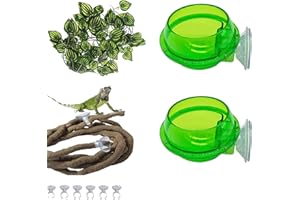 PINVNBY Reptile Suction Cup Feeder,Chameleon Feeding Food Bowl,Translucent Anti Escape Worm Live Fodder Container,Pet Ledge Water Dish Supplies for Lizard Gecko Bearded Dragon(4 Pcs)