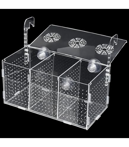 Gazechimp Fishing Photo Tank Fish Viewing Box Acrylic Hatching Incubator Clear Micro Landscape Fish Tank Fish Breeder Isolation Breeder Box with Scale, L : Pet Supplies