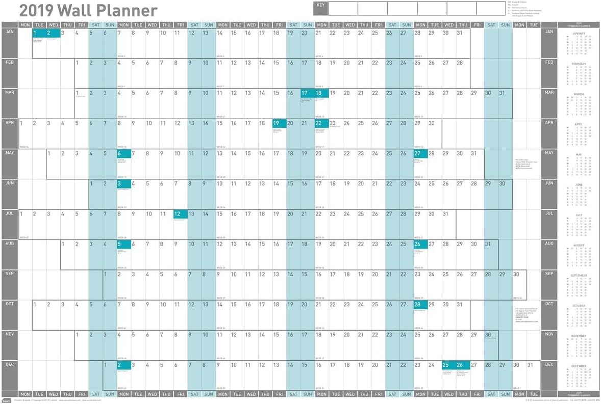 Sasco 2401954 915x610mm 2019 year wall unmounted poster style office planner