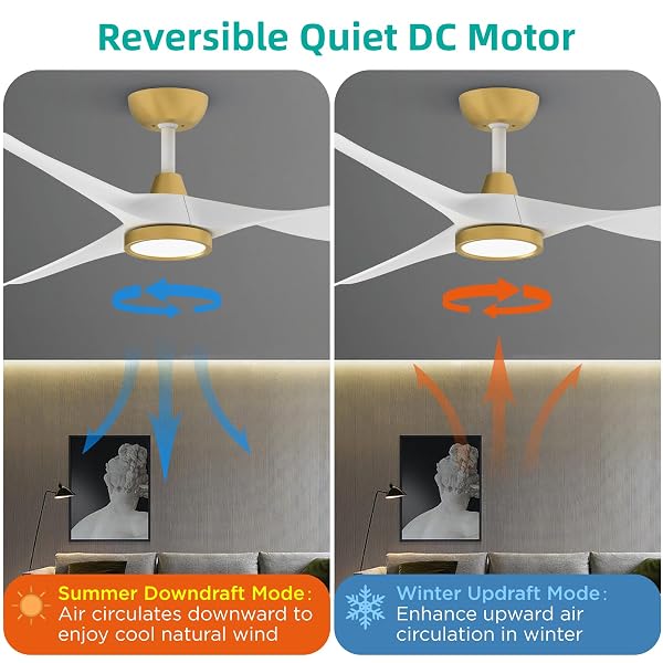 ROOMRATV CEILING FANS WITH LIGHTS,LARGE AIRFLOW 52INCH MODERN CEILING FAN WITH QUITE REVERSIBLE DC MOTOR 3 COLOR TEMPERATURE LED LIGHT (WHITE GOLD)
