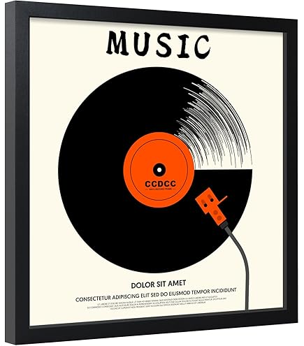 Amazon.com - FramePro Vinyl Record Frame for the Wall Display