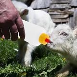 DOITOOL Lamb Feeding Bottle 5 Sets 400Ml Red Teat for Small Animals view 9