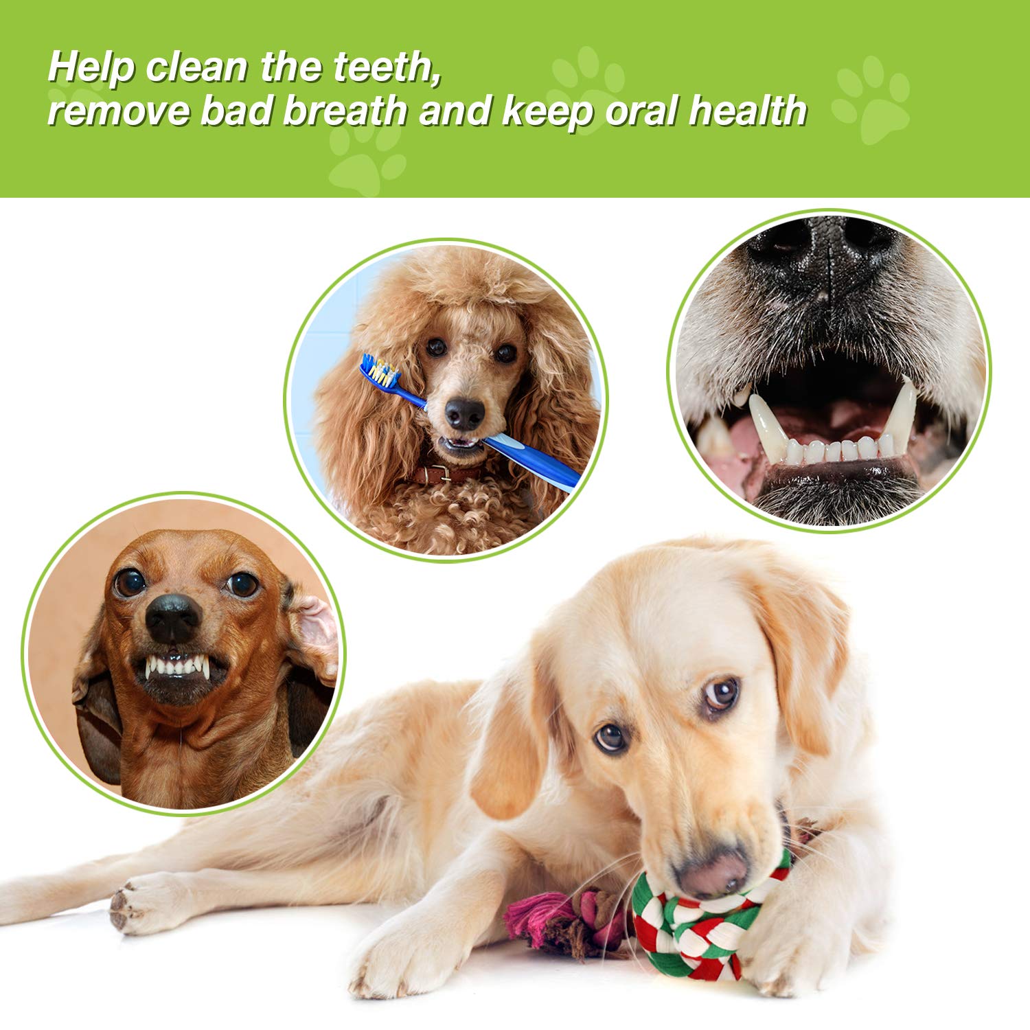 Pecute Dog Squeaky Rope Chew Toys, Cloth Rope Chew Toys 6pcs Set for Dog Molars Training, Cleaning Tooth Oral Cavity, Applicable to Small and Medium-Sized Dogs