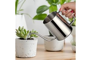 Roamall Small Watering Can for Indoor Plants - 20 oz Mini Indoor Watering Can with Long Spout Gooseneck Rust-Proof Stainless 