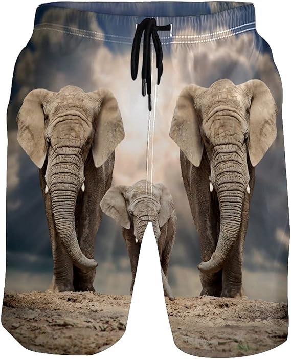 Men's Swim Trunks Three Elephants Under Sky Quick Dry Board Shorts