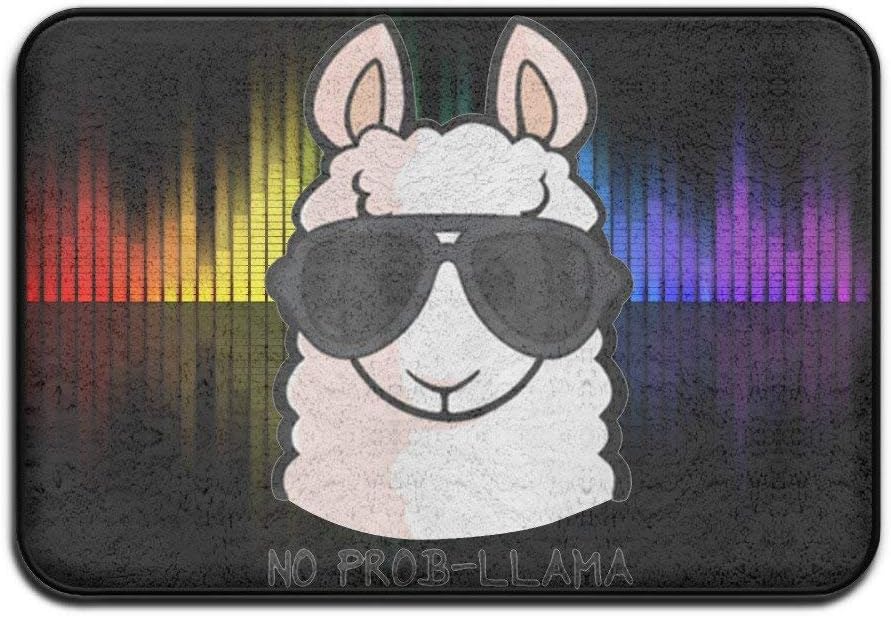 rongxincailiaoke No Prob- Llama Doormats Entrance Rug Floor Mats Doormats Floor Mat 15.7" 23.6"
