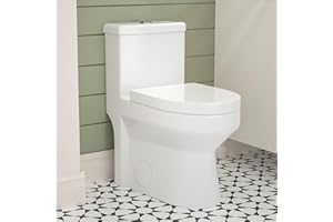 DEER VALLEY DeerValley DV-1F52812 Compact One Piece Toilet, Small Modern Dual Flush Toilet, Powerful & Quiet, 12'' Rough In Toilet & Dual Flush 0.8/1.28 GPF and MAP 1000g, White