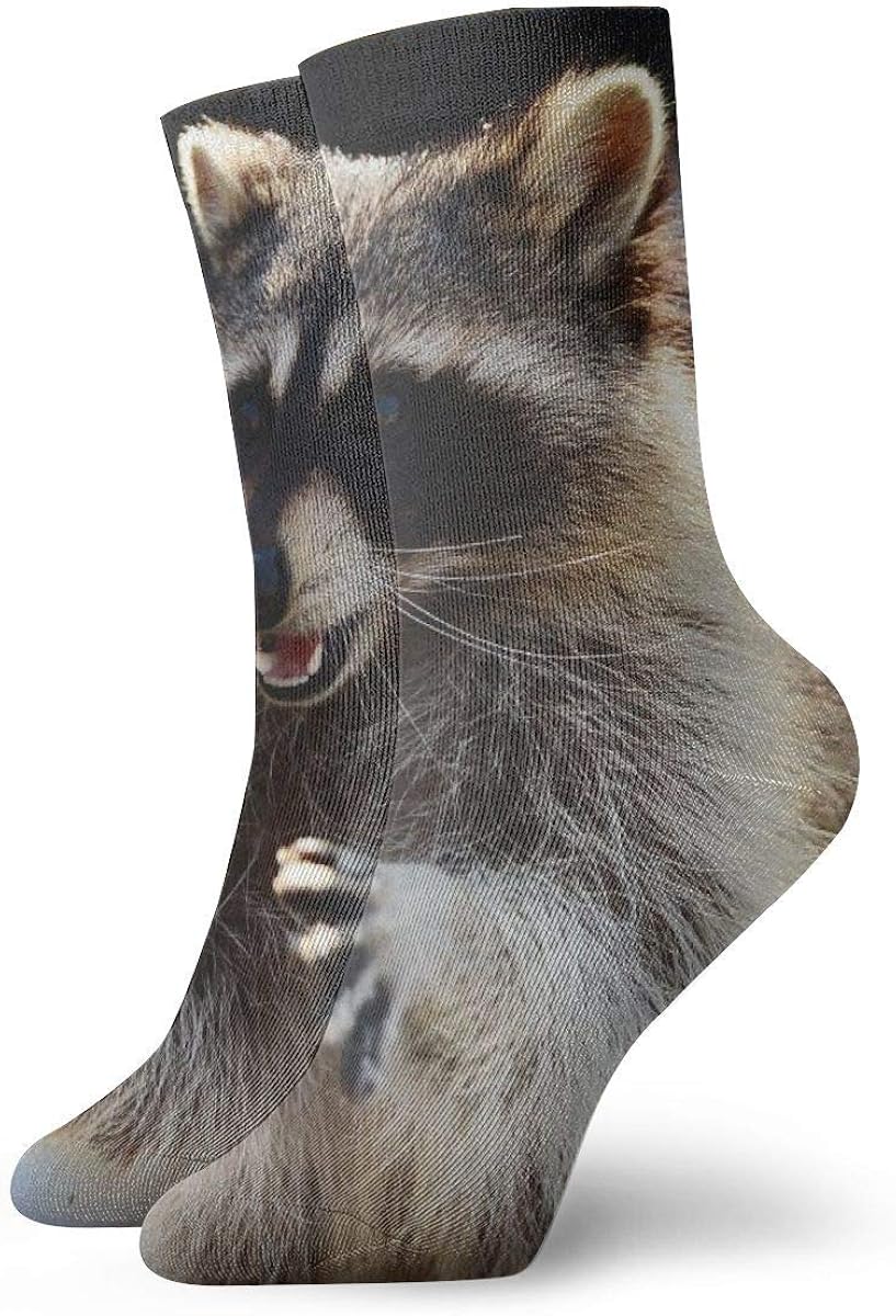 Unisex Crew Socks Raccoon Athletic Casual Sock Amazon.co.uk Clothing