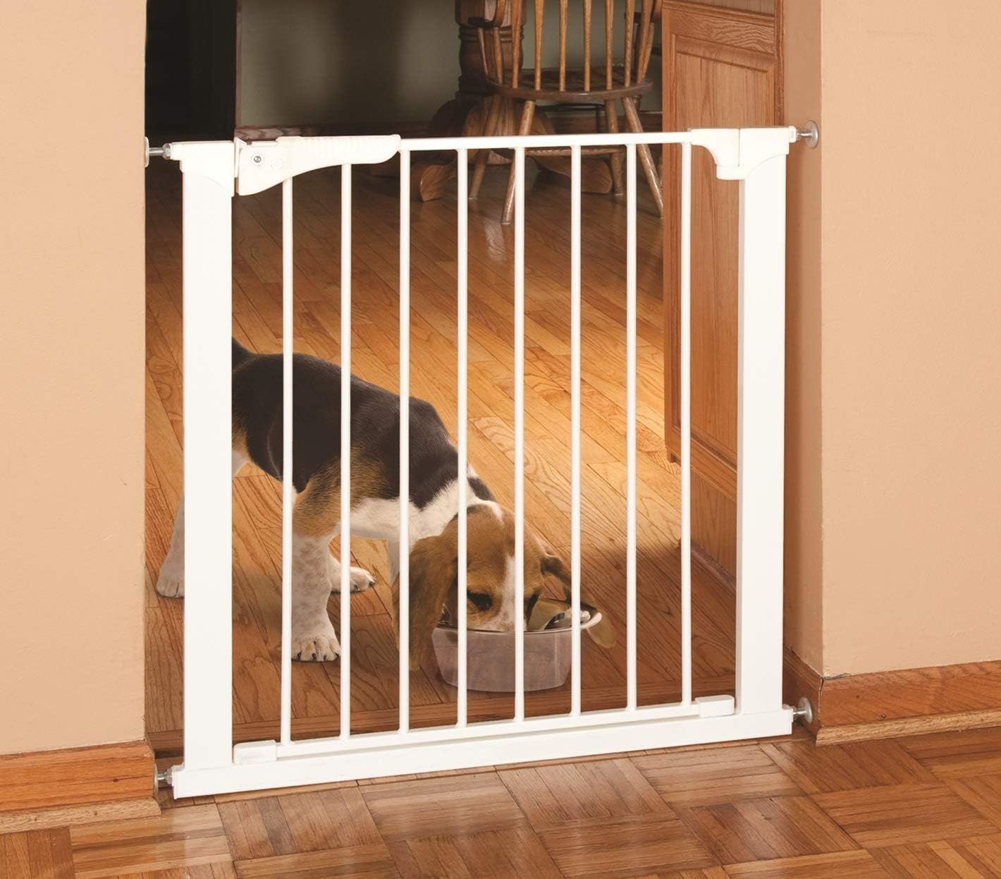 soap free moisturizing dog shampoo