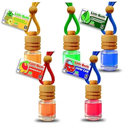 5 Stück elegante Duftflakons fürs Auto - Pfefferminze Apfel Ananas Mango New Car 25ml