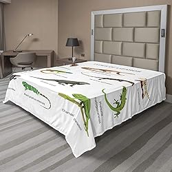 Ambesonne Reptile Flat Sheet, Lizard Family Design