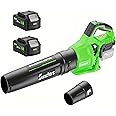 Leaf Blower Cordless with 2 x 4.0Ah Battery and Charger, 580CFM 160MPH Electric Blower with 2 Speeds, 20V Handheld Leaf Cleaner for Lawn Care, Blowing Leaves, Dust, Snow, Gravel for Patio, Yard, Green