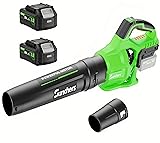 Leaf Blower Cordless with 2 x 4.0Ah Battery and