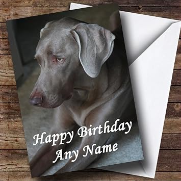 Image result for Weimaraner dog, related cards