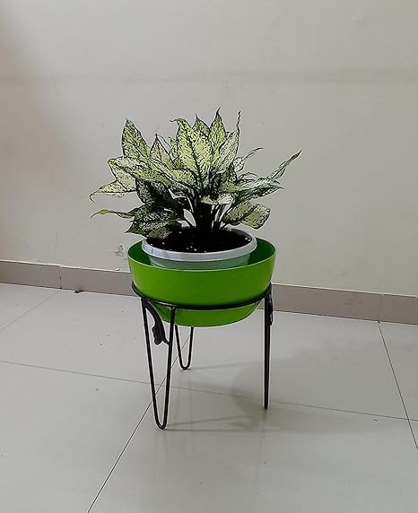 CAPPL 10 Inch Round Pot Stand (Pack of 2)