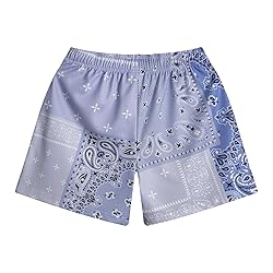 DIOTSR Mens Paisley Graphic Basketball Shorts