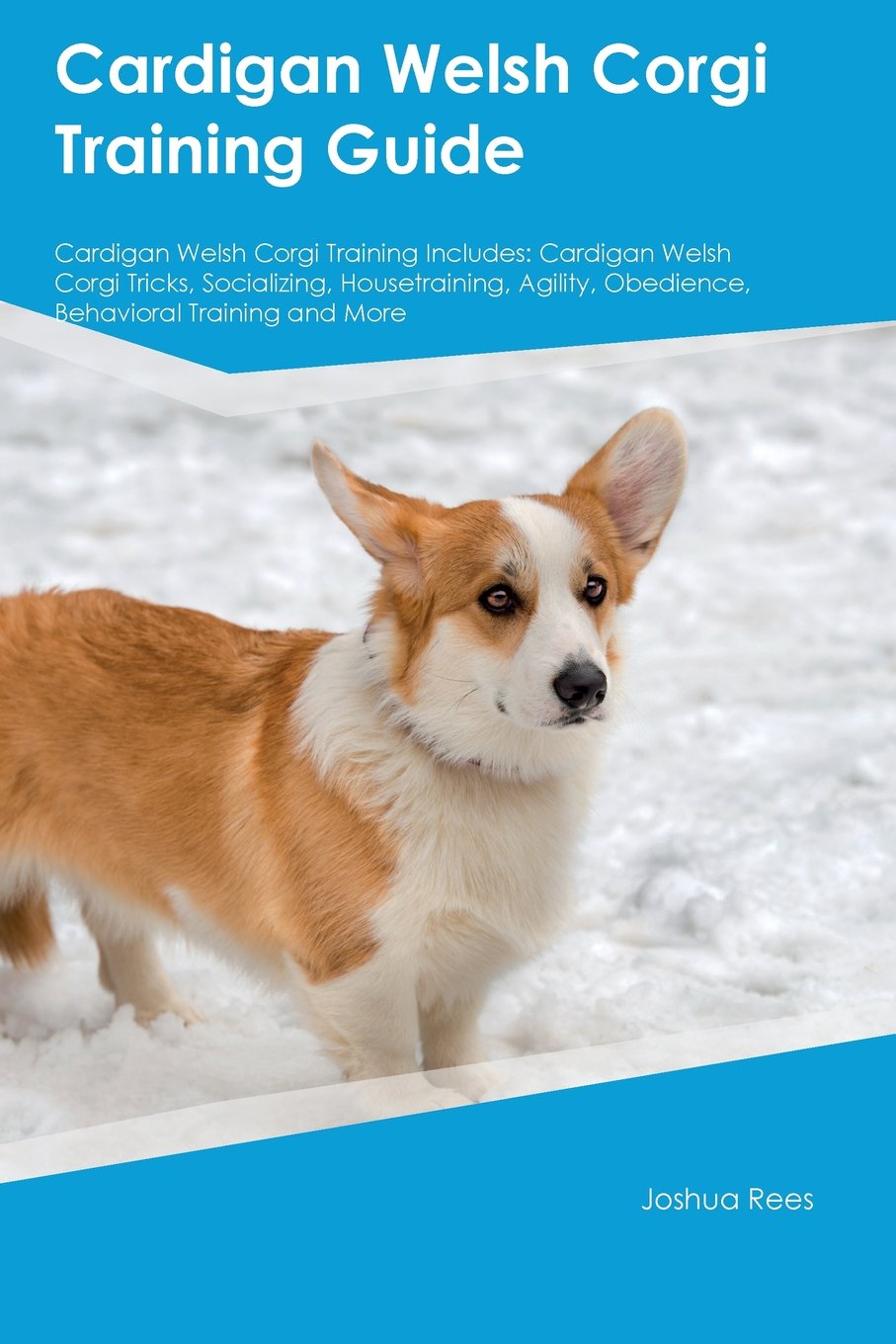 corgi house training