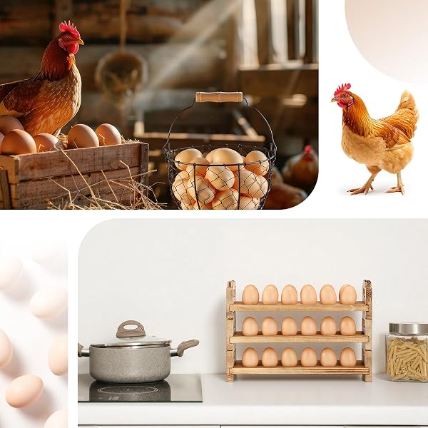 TEECYHOOO 2 PCS WOODEN EGG HOLDER COUNTERTOP AND FARMHOUSE WIRE EGG BASKET KIT WITH HANDLE STACKABLE EGGS STORAGE RACK FOR GATHERING FRESH EGGS VINTAGE HOME STORAGE KITCHEN ORGANIZER FARM CHICKEN COOP