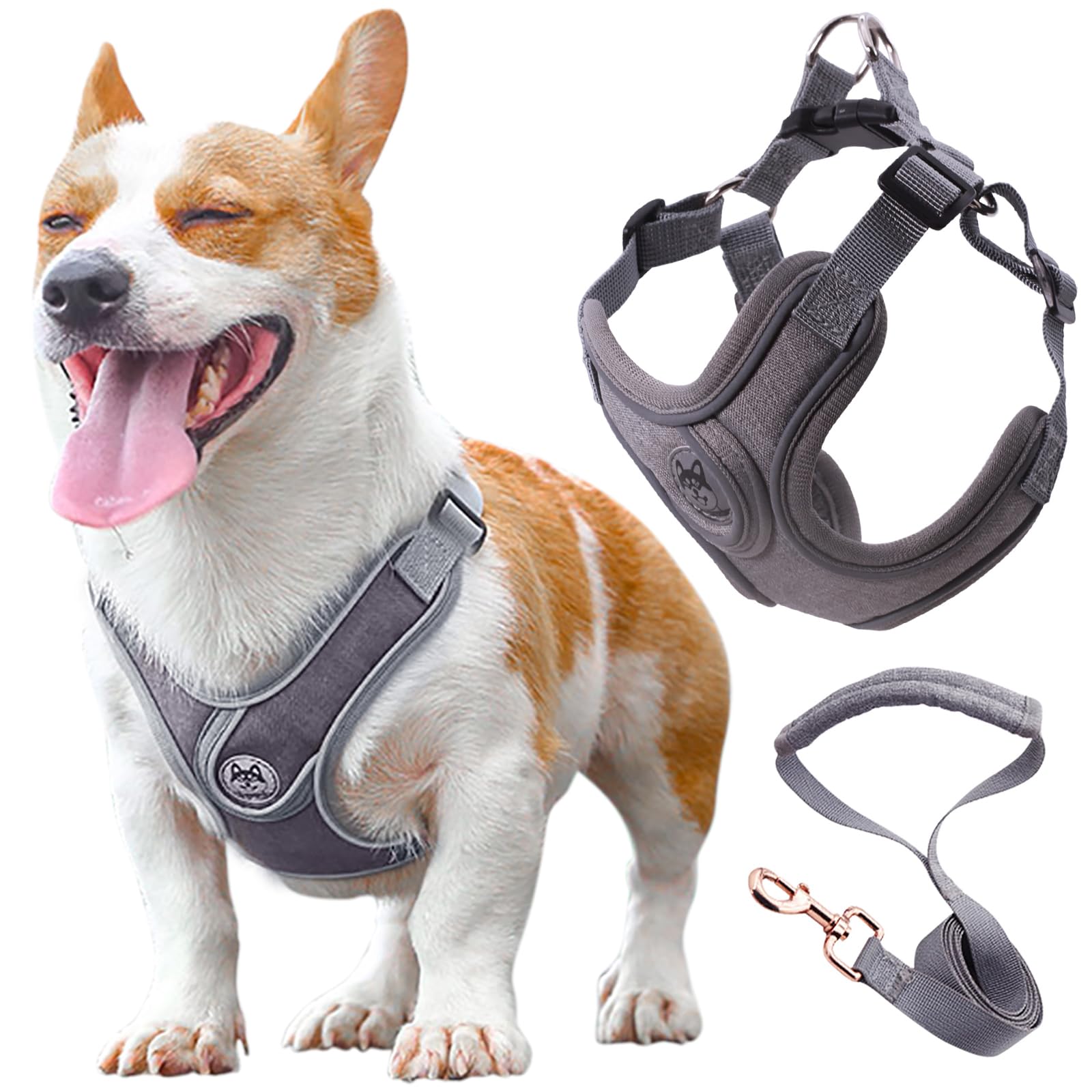 Wocharm Dogs Breathable Harness with Leash Adjustable Outdoor Walking Pet Puppy Vest （M,Grey）