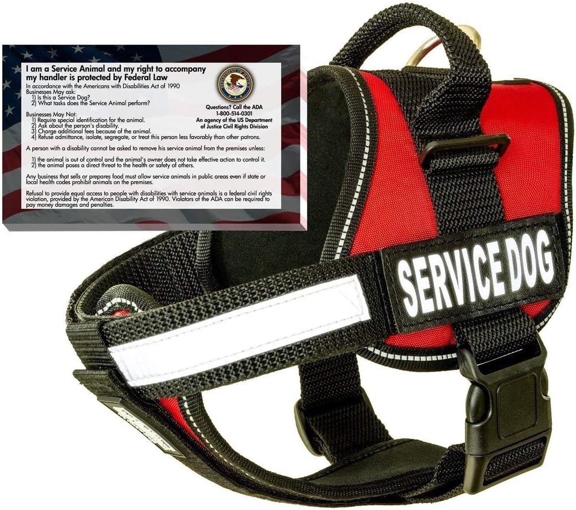 barkOutfitters Service Dog Vest Harness 50 FREE ADA Info Cards Kit (Red, (17" - 23") Girth